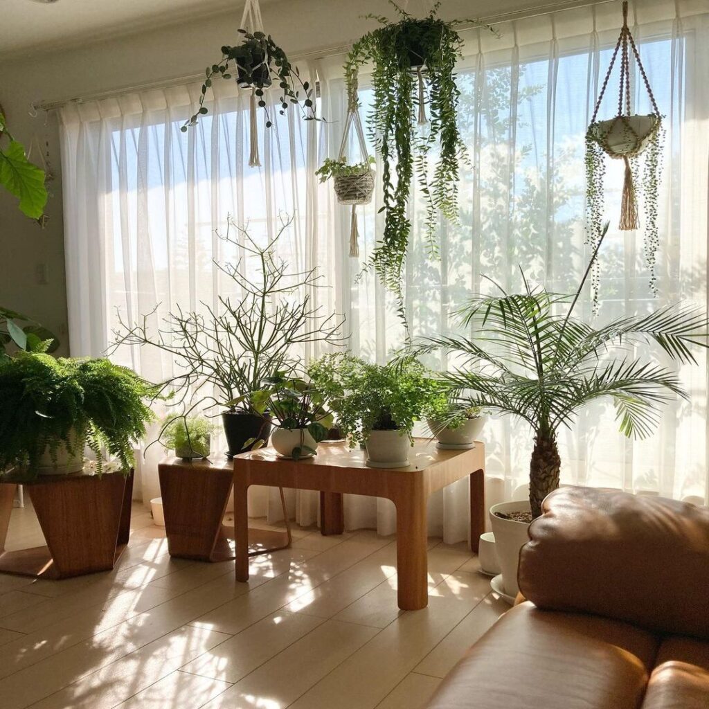 観葉植物を置くなら北欧インテリアが相性抜群！ ｜ VACAY（ヴァケイ）