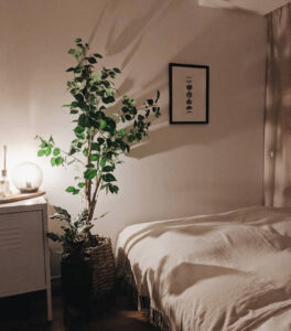 植物を飾って寝室を癒しの空間に