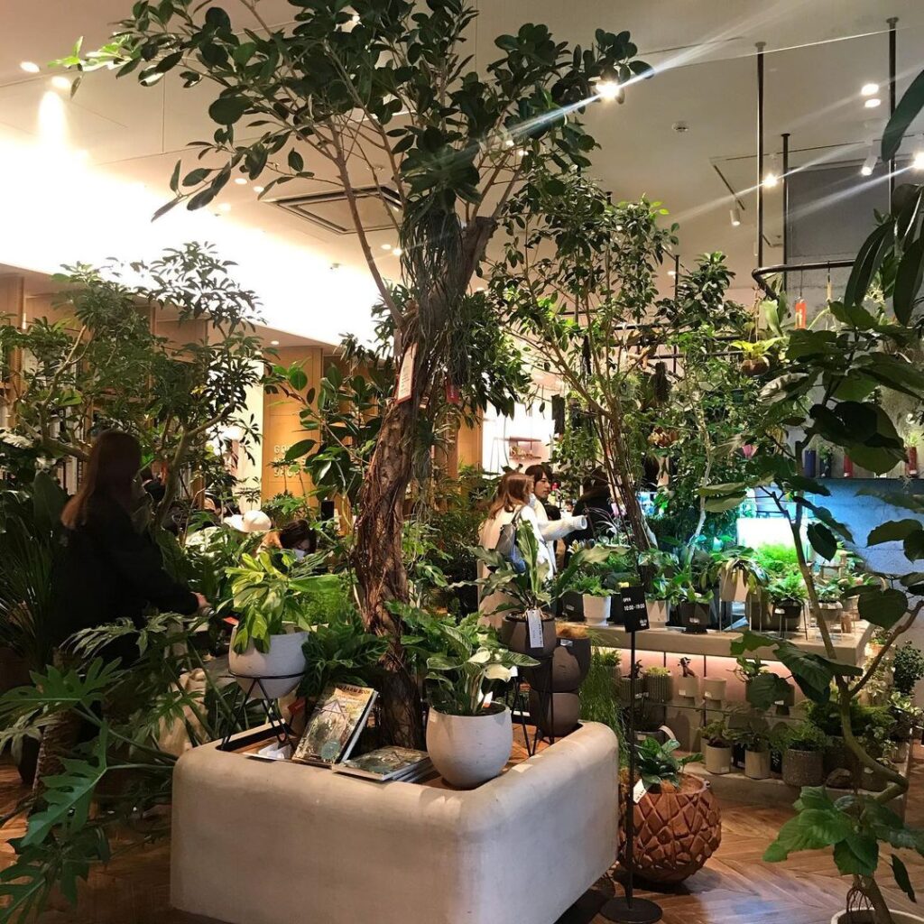 おしゃれな観葉植物が揃う。東京都内のグリーンショップ10選 ｜ VACAY（ヴァケイ）
